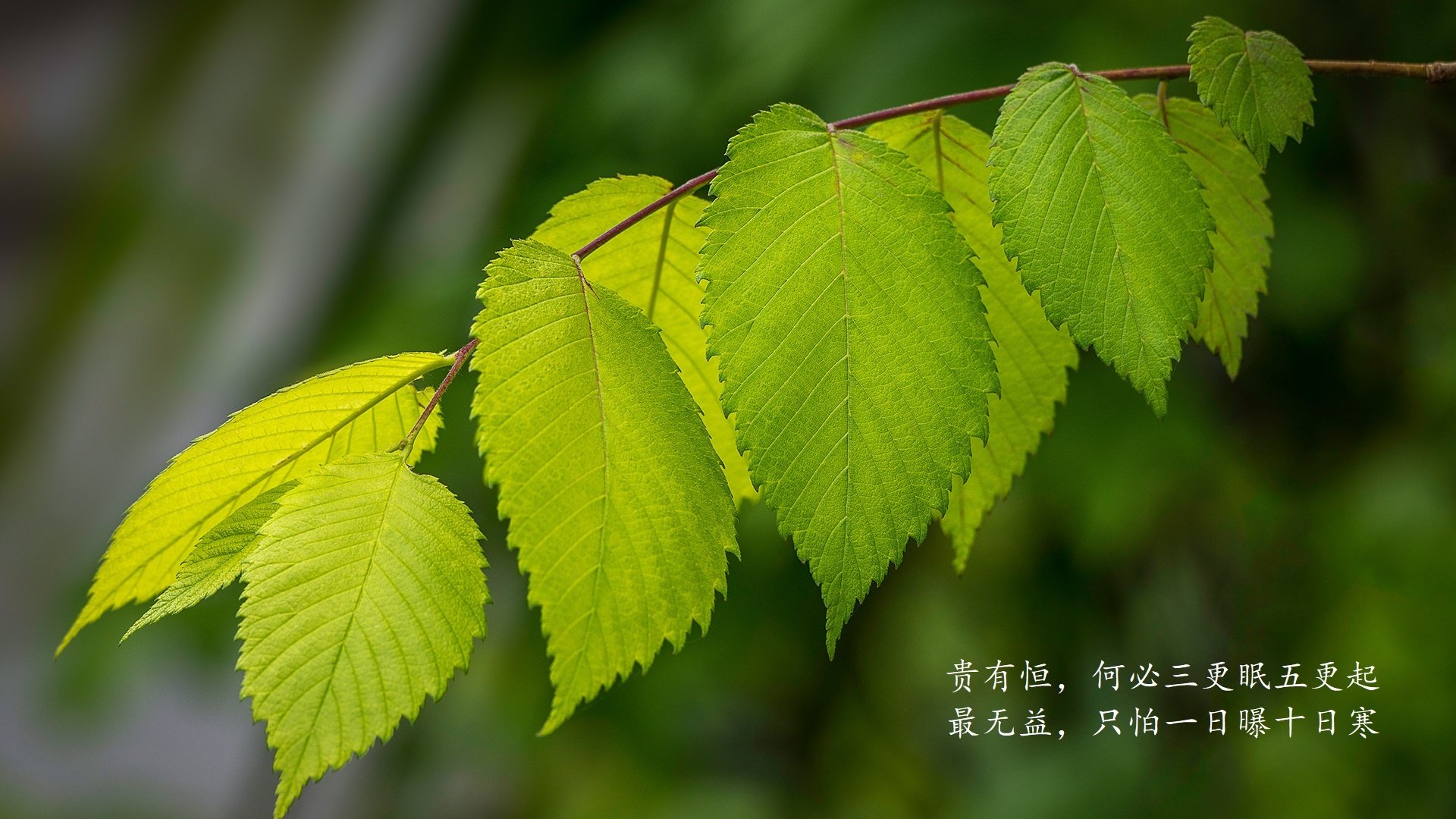 牡丹江特色啤酒排名榜单图片(牡丹江有啥啤酒)