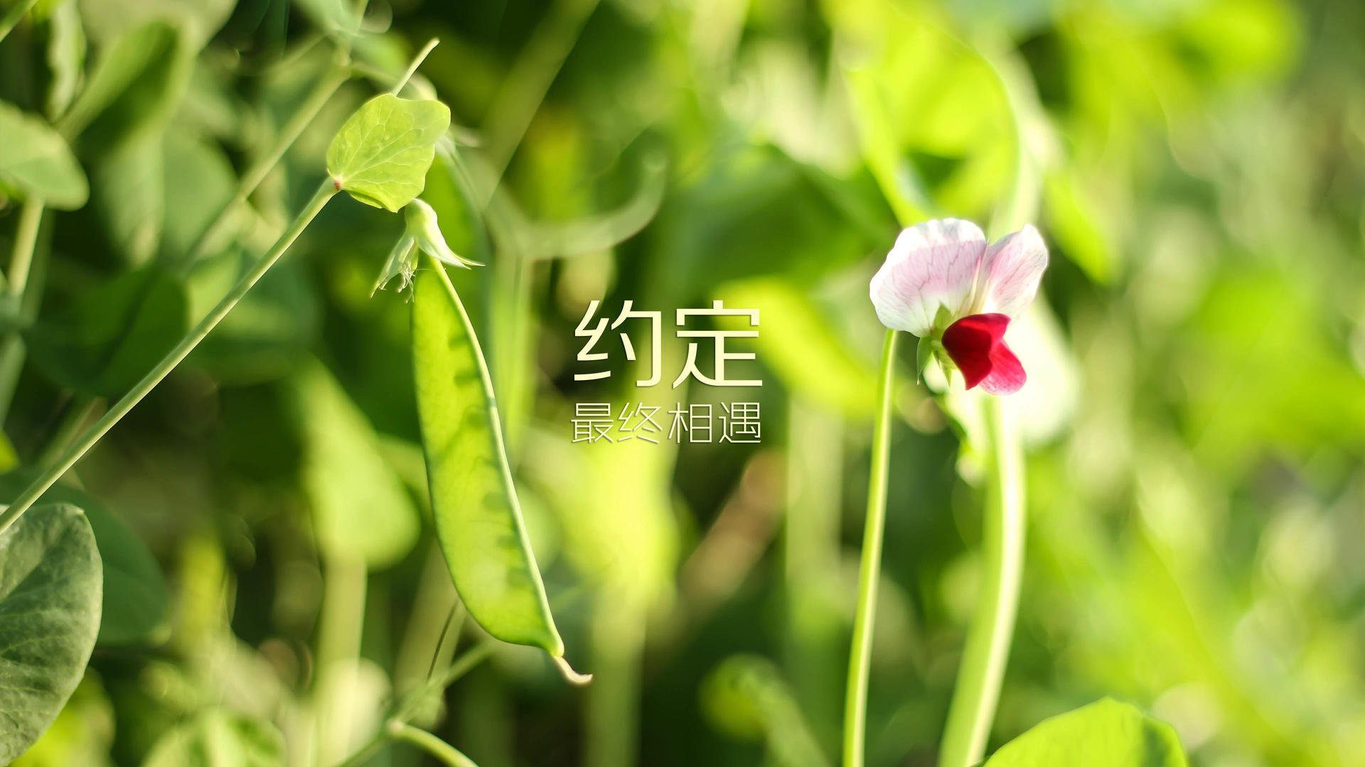 牡丹江美食街(牡丹江好吃的小吃)